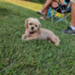 Meet your Posher, Mariah